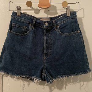 Everlane Cheeky Denim Short (size 27)